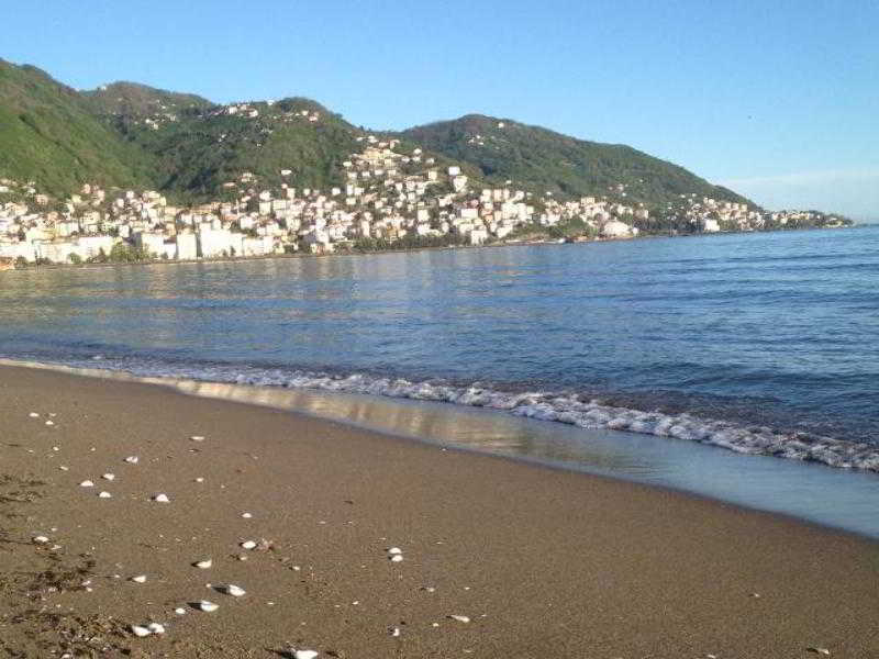 Anemon Kent Ordu Otel Экстерьер фото